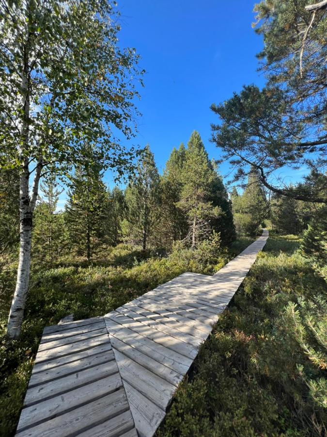 Apartment Annis Panoramablick Pool Sauna Tennis Schonach im Schwarzwald 외부 사진
