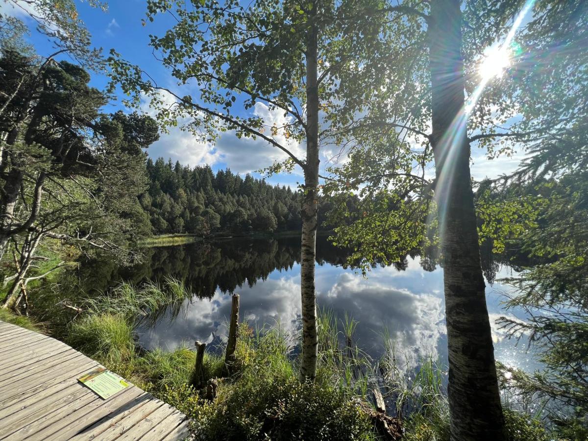 Apartment Annis Panoramablick Pool Sauna Tennis Schonach im Schwarzwald 외부 사진