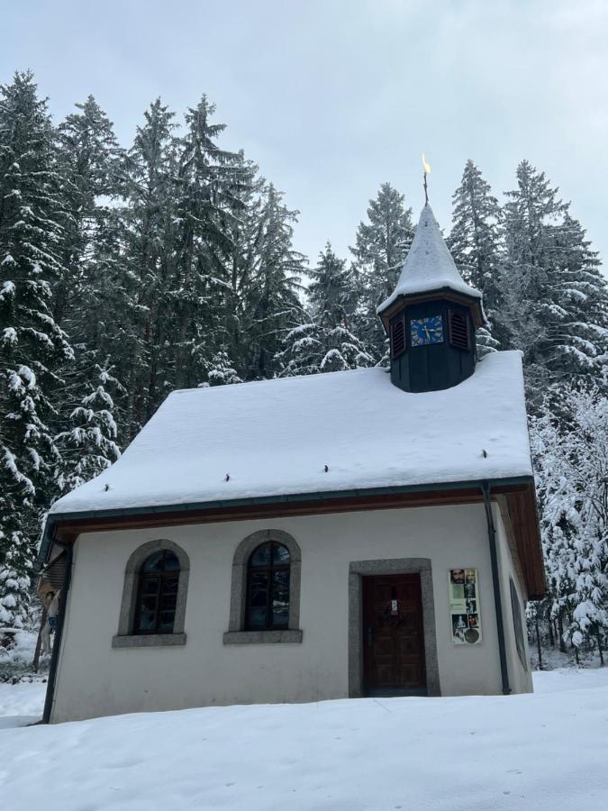 Apartment Annis Panoramablick Pool Sauna Tennis Schonach im Schwarzwald 외부 사진