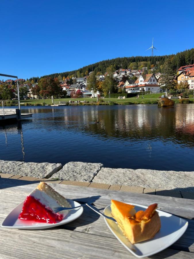Apartment Annis Panoramablick Pool Sauna Tennis Schonach im Schwarzwald 외부 사진