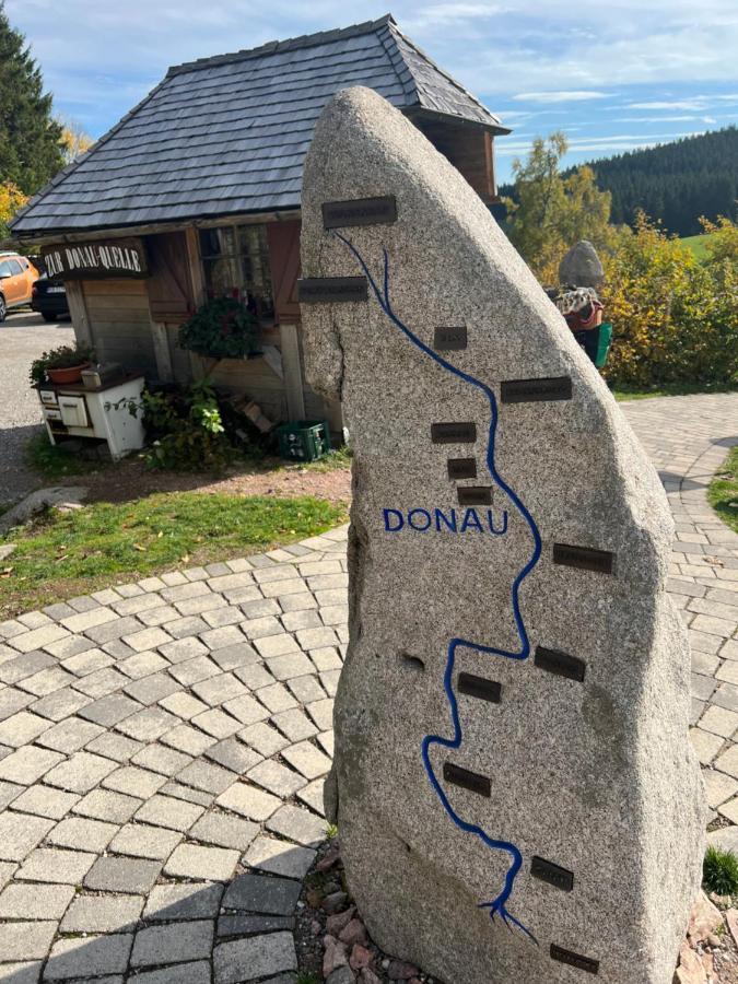 Apartment Annis Panoramablick Pool Sauna Tennis Schonach im Schwarzwald 외부 사진
