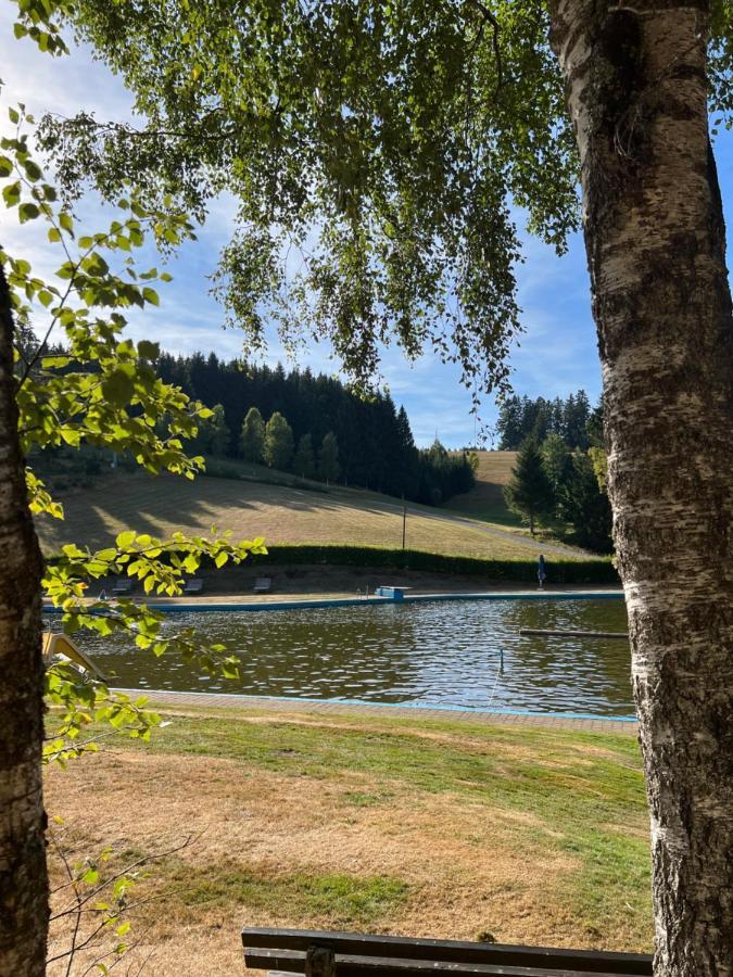 Apartment Annis Panoramablick Pool Sauna Tennis Schonach im Schwarzwald 외부 사진