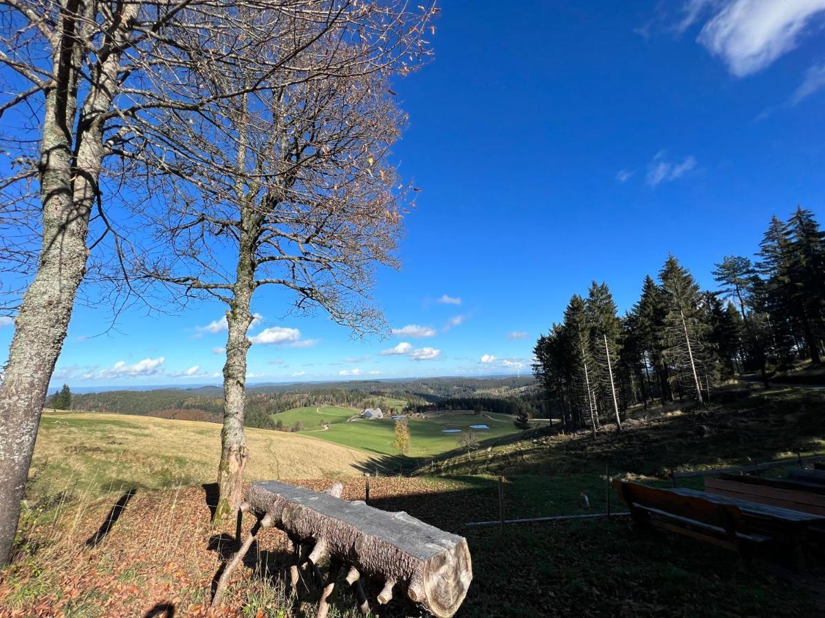 Apartment Annis Panoramablick Pool Sauna Tennis Schonach im Schwarzwald 외부 사진