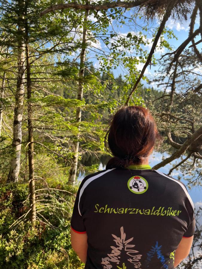Apartment Annis Panoramablick Pool Sauna Tennis Schonach im Schwarzwald 외부 사진